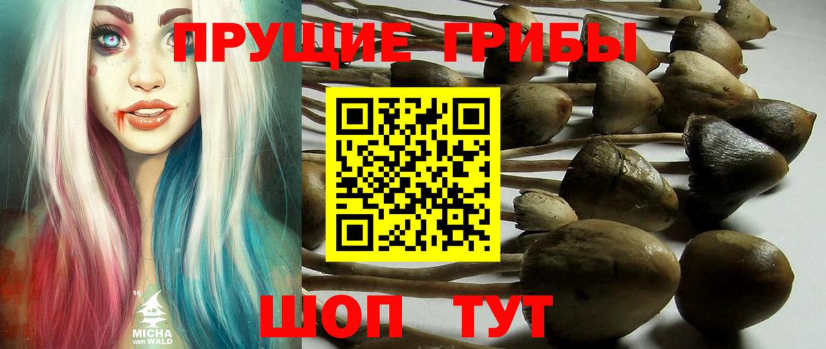 Псилоцибиновые грибы Magic Shrooms Великий Устюг